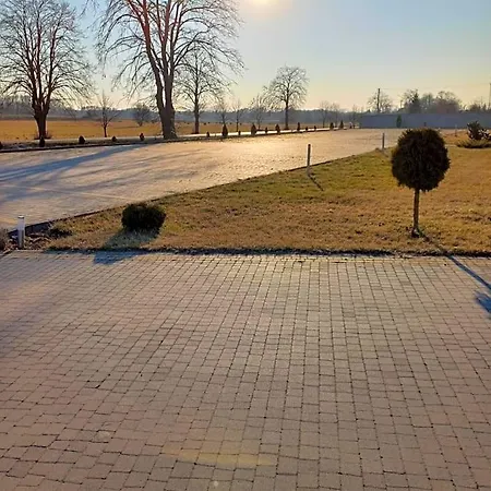 Róża Losice
