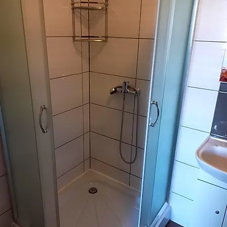 Róża