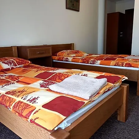 Róża 3* Losice